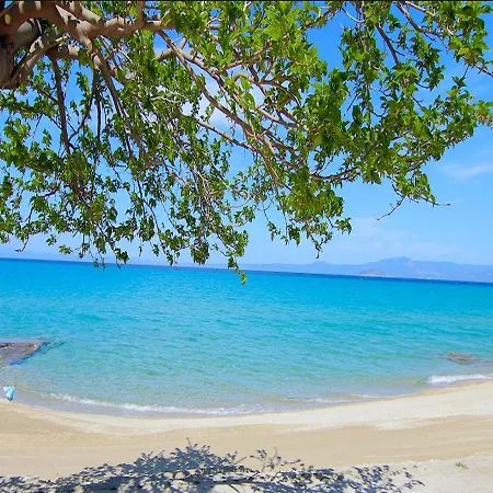 Ξενοδοχείο με διαμερίσματα Kokkos Brothers Kallithea (Chalkidiki)