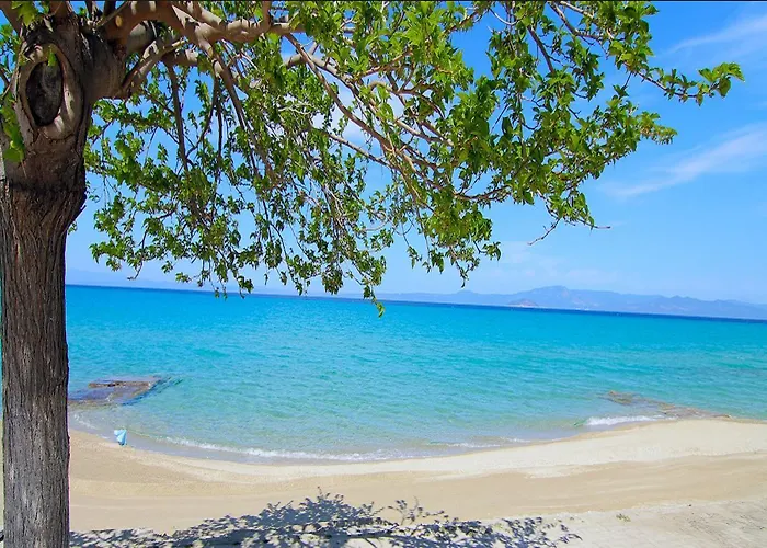 Hotel de apartamente Kokkos Brothers Kallithea (Chalkidiki)